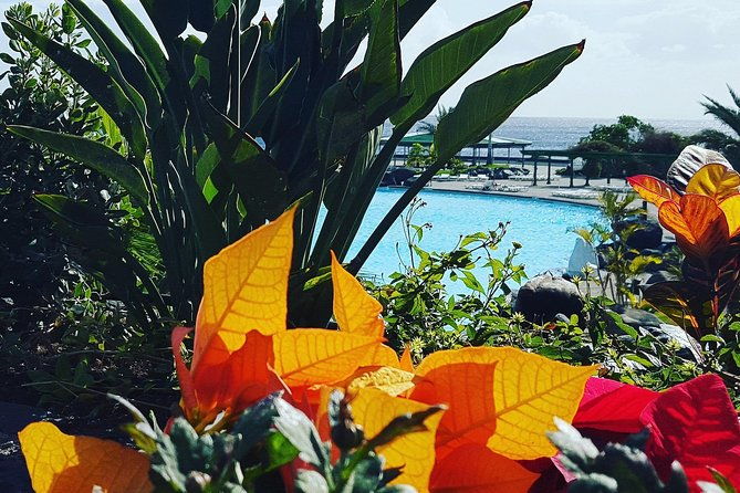 tour-around-the-island-private-vip-tour-in-tenerife