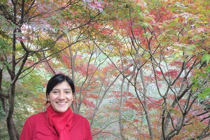 tour-by-car-with-a-kyoto-native-away-off-touristy%ef%bd%9ca-local-show-you-secret-places