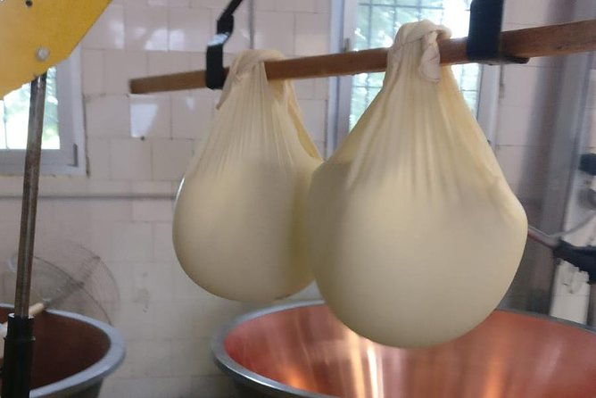 tour-parmigiano-reggiano-dairy-and-parma-ham