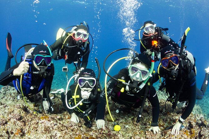 trial-diving-tour-that-even-inexperienced-people-can-enjoy-safely