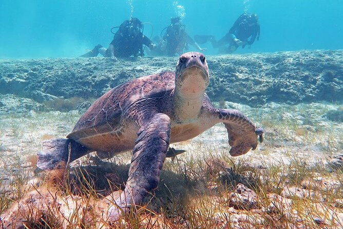 try-a-scuba-diving-experience