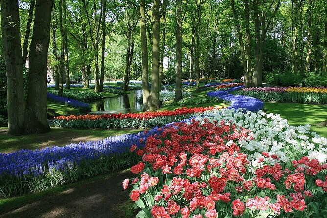 tulip-paradise-keukenhof-half-day-private-tour