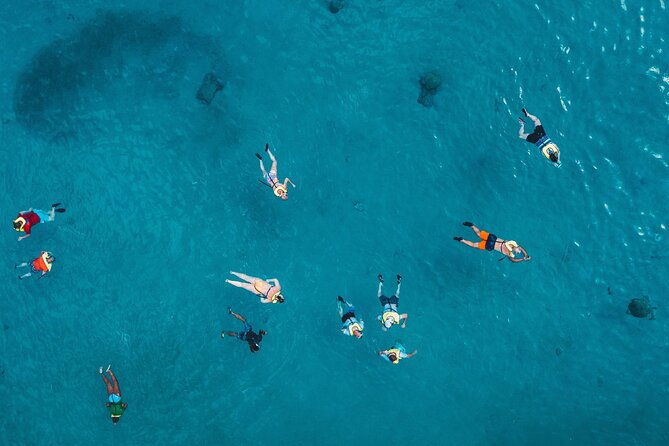 turtle-snorkeling-boat-tour-and-adventure-in-waikiki