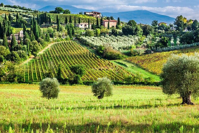 tuscany-private-tour-with-wine-and-cheese-tasting-from-florence