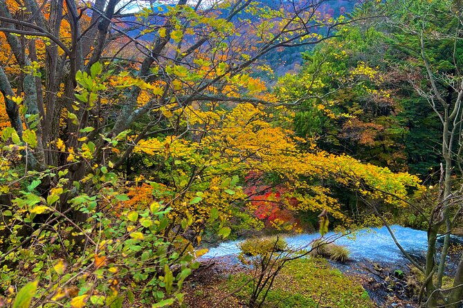 two-days-nikko-cycling-tour-guided-by-a-local-monk