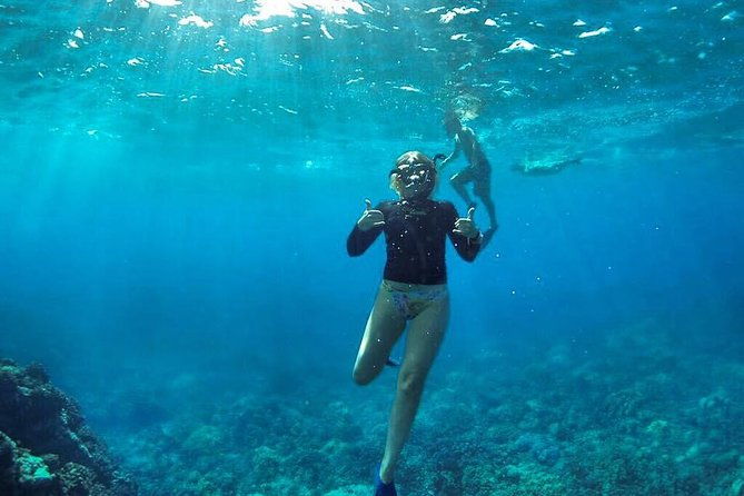 ultimate-4-hour-lanai-snorkel-and-dolphin-encounter