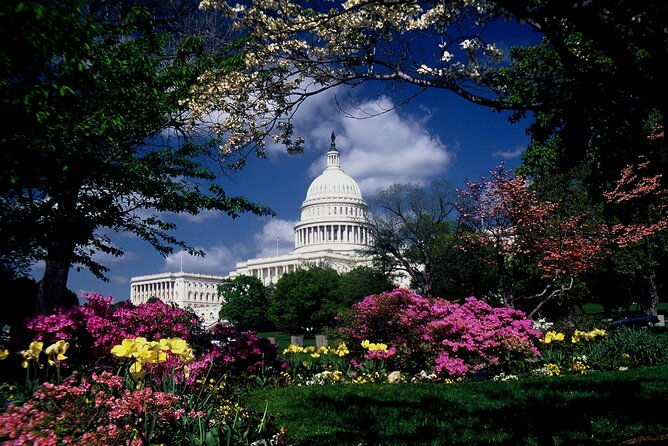 us-capitol-library-of-congress-with-guided-walk-of-capitol-hill