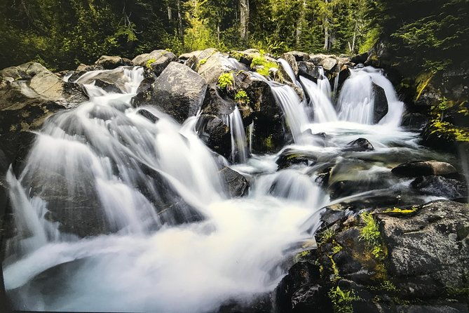 viator-exclusive-day-tour-from-seattle-to-mt-rainier