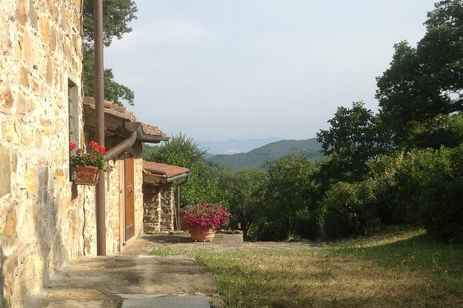 visit-to-the-market-and-cooking-classes-in-a-tuscan-farmhouse
