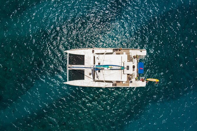 waikiki-catamaran-adventure-snorkel-with-sea-turtles