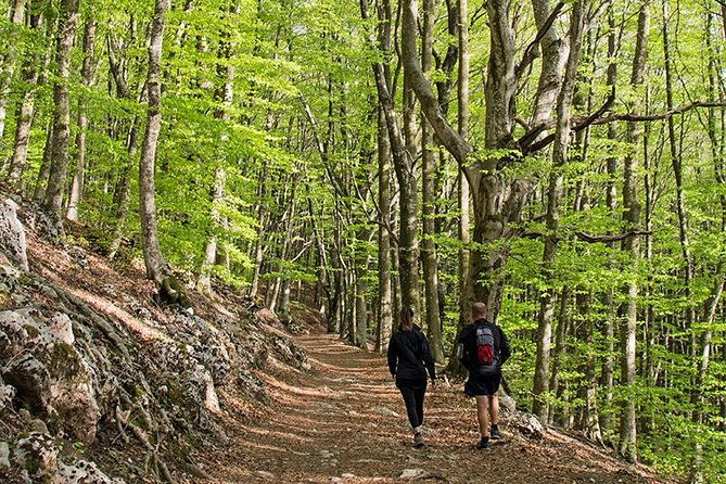 walk-around-faito-mountain-the-highest-point-of-the-amalfi-coast-and-sorrento-peninsula