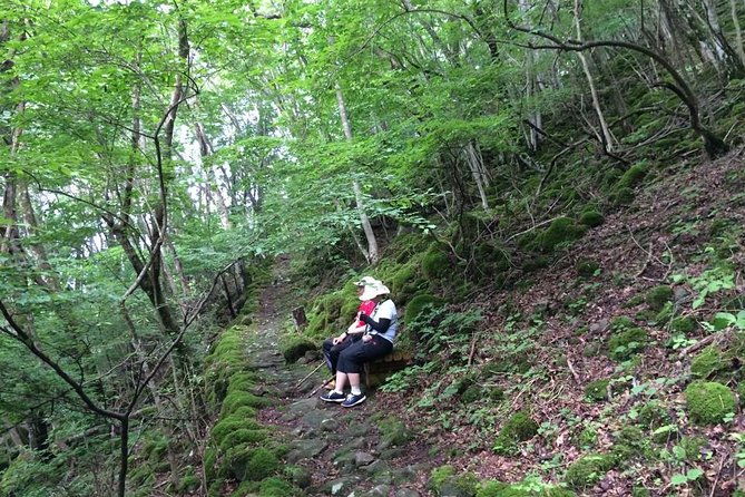 we-love-shinrin-yoku-tour-1-day