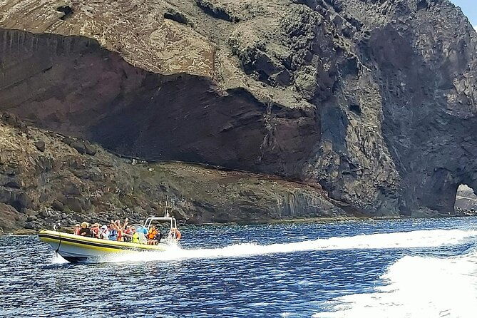 whale-dolphin-watching-in-madeira