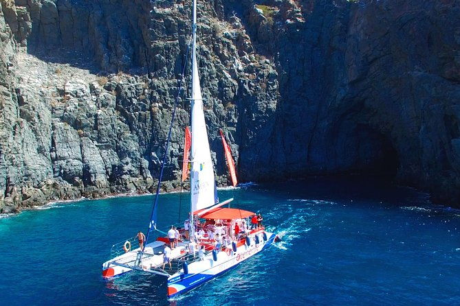 whale-watching-and-listening-eco-catamaran-tour-with-food-tasting