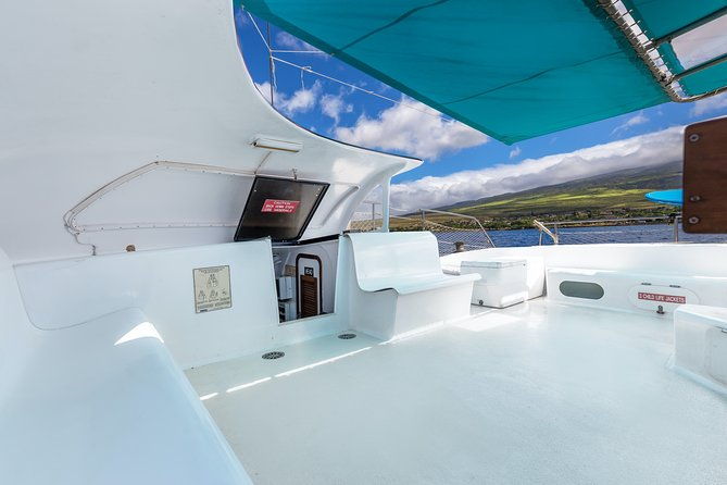 whale-watching-cruise-with-open-bar-from-kaanapali-beach