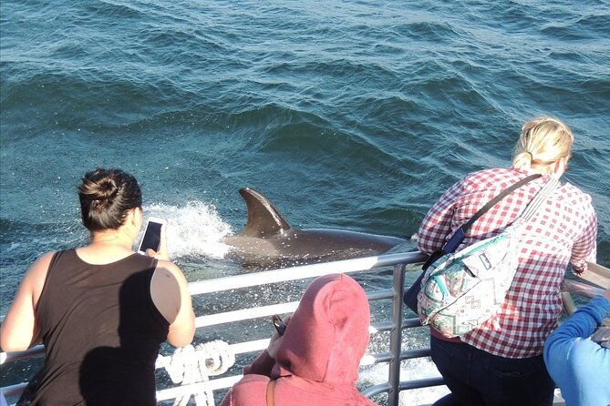 whale-watching-tour-from-anacortes