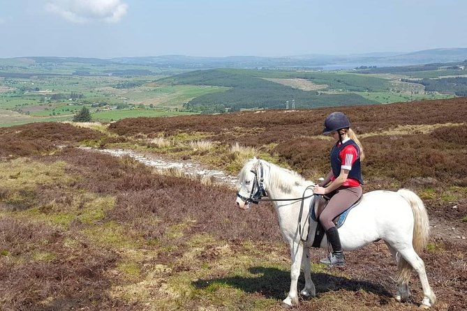 wicklow-mountains-horse-trekking