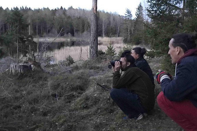 wildlife-safari-small-group-in-stockholm