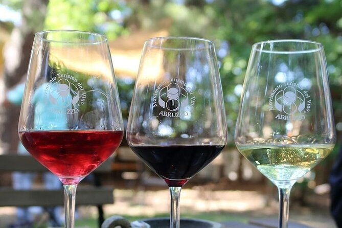 wine-tasting-and-guided-visit-to-the-vineyard-and-cellar-in-s-maria-imbaro
