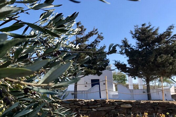 wine-tasting-and-tour-in-saint-anna-winery-in-naxos