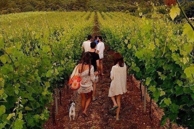wine-tasting-in-vieste