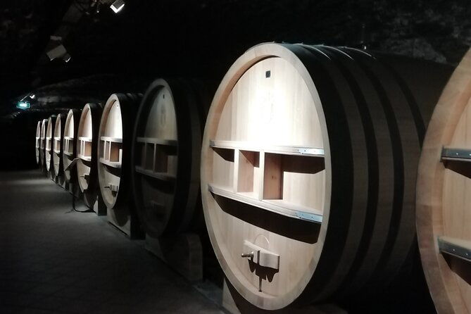 wine-tasting-tour-at-chateauneuf-du-pape
