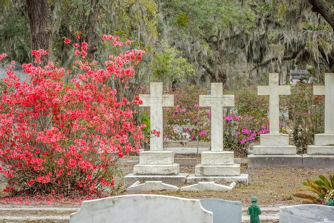 wormsloe-historic-site-bonaventure-cemetery-tour-from-savannah