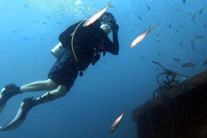 wreck-and-bridge-span-dive-for-certified-divers