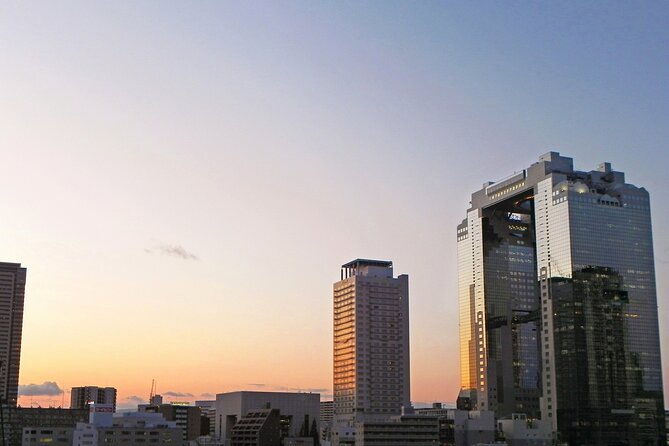 6-hours-osaka-tour-with-national-licensed-guide