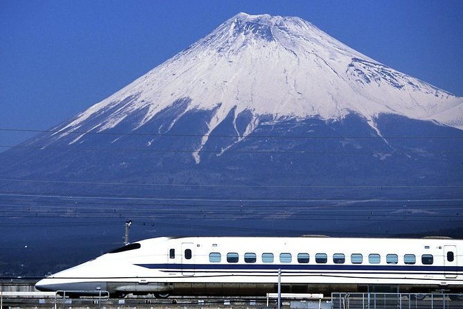 1-day-charter-tour-to-mt-fuji-view