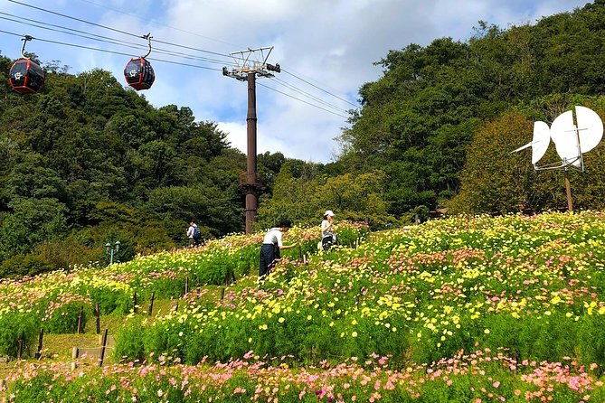 1-day-kobe-highlights-tour-including-sake-tasting