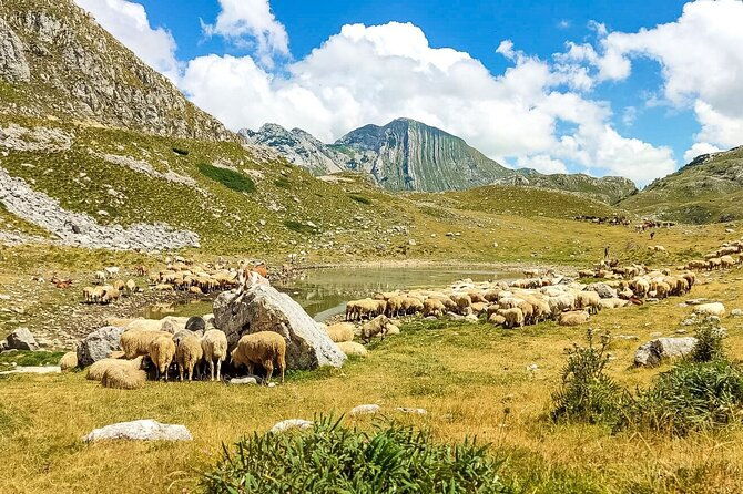 1-day-montenegro-hiking-tour-to-durmitor-national-park