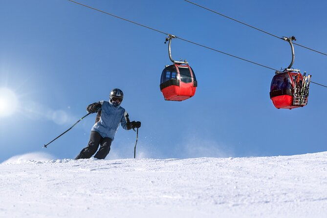 1-day-private-ski-lesson-from-tokyo-optional-mt-fuji-sightseeing