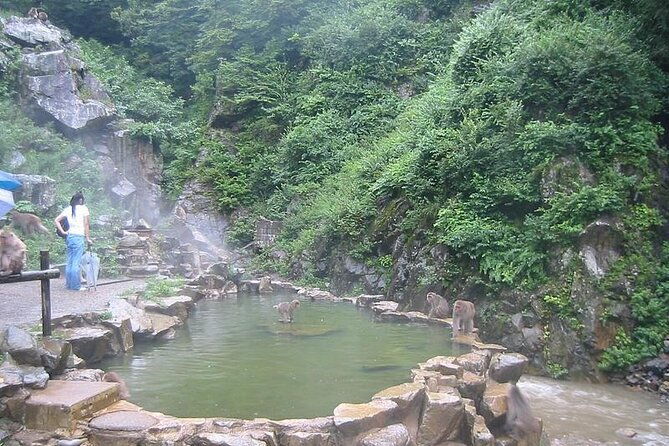1-day-private-snow-monkey-zenkoji-temple-saketasting-naganotour