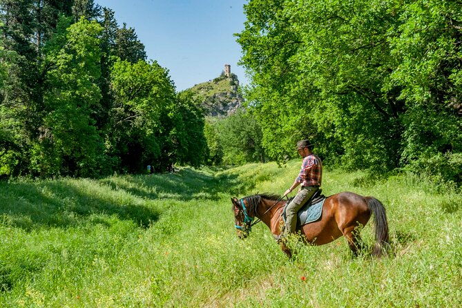 1-hour-horseback-ride-in-valgraziosa-pisa