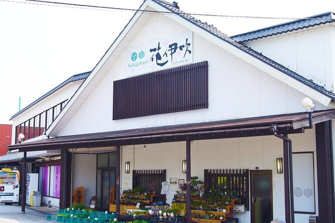 2-day-bus-tour-to-shirakawago-hida-no-sato-winter-illumination