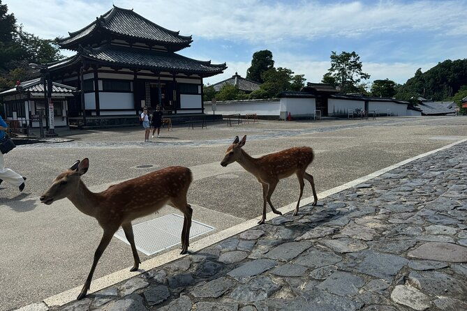 2-hour-nara-discover-every-bit-of-tohdaiji-temple-private-tour