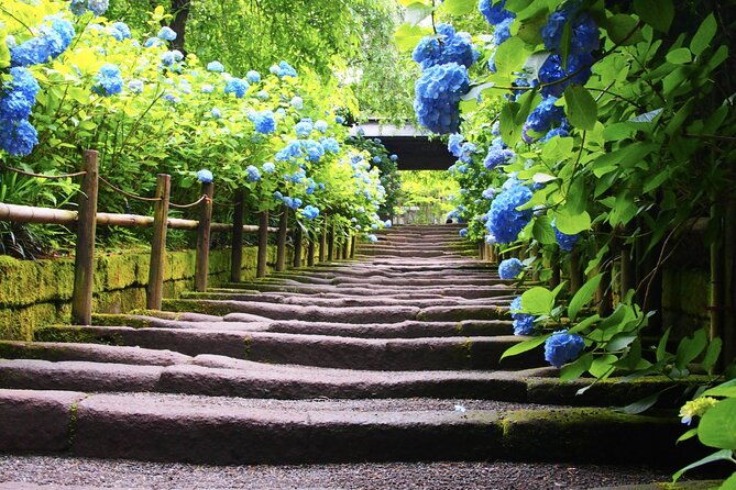 4-hour-private-tour-of-kamakura-with-government-licensed-guide