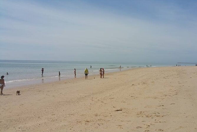 5-hour-tour-with-3-stops-around-the-islands-and-beaches-of-ria-formosa