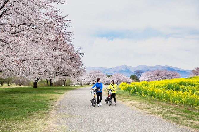 akagi-great-countryside-e-bike-tour%e3%80%80