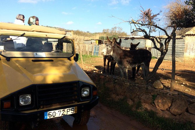 algarve-jeep-safari-half-day-trip-morning