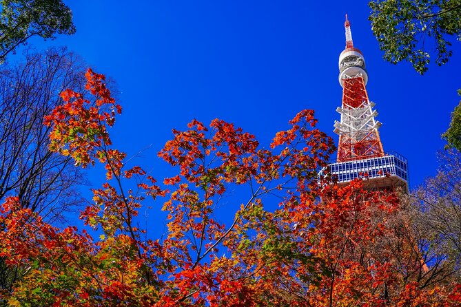 all-inclusive%e3%83%bbprivate-tour-make-your-own-tokyo-adventure