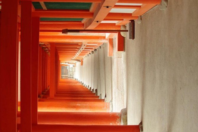all-must-sees-in-3-hours-nara-park-classic-tour-from-jr-nara