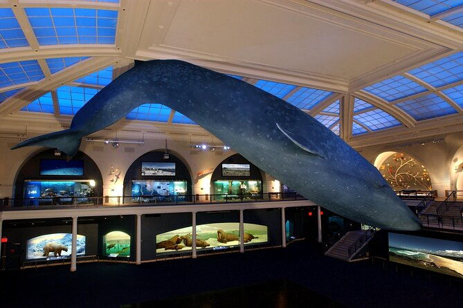american-museum-of-natural-history-admission-ticket