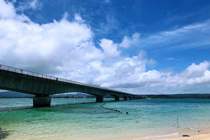 american-village-okinawa-churaumi-aquarium-tour-from-naha-chatan