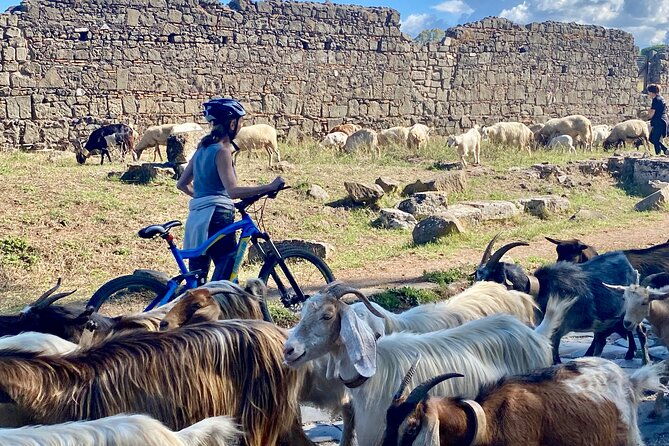 appian-way-on-e-bike-tour-with-catacombs-aqueducts-and-food