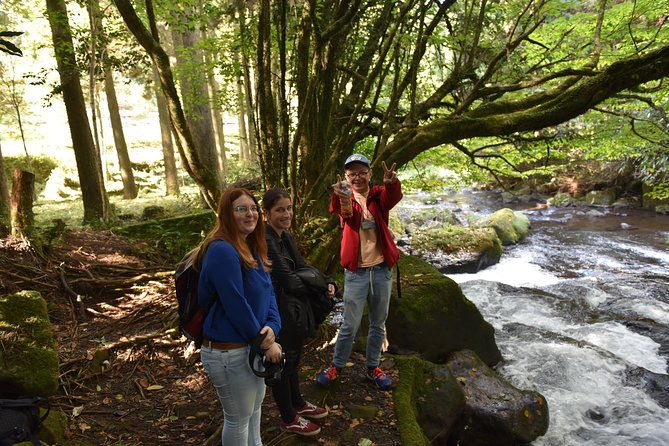 aso-caldera-and-farm-experience-tour