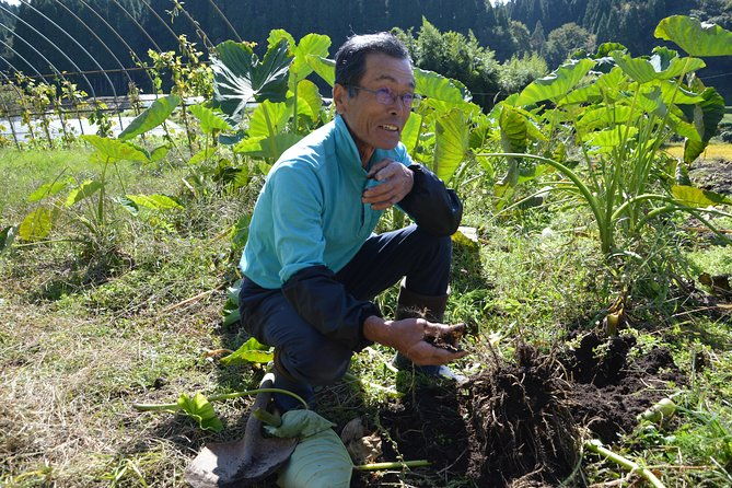 aso-cycling-and-farming-private-tour