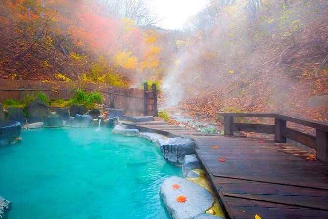 aso-vocano-grasslandonsen-and-aso-shrine-1-day-tour