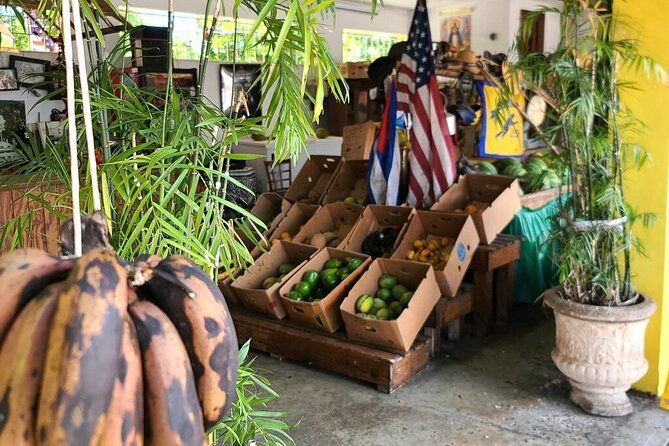 authentic-little-havana-food-and-culture-walking-tour